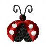 Lady Bug Lady Bug