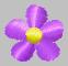 littleviolet