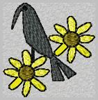 crowdaisyaccent