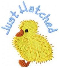 justhatched