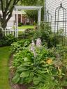 dsc00712.JPG
