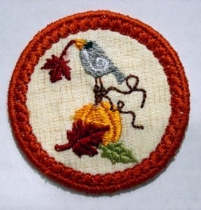 fall-pin-2 fall-pin-2