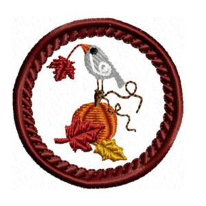 fall-pin