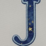 hobbyhorse010
