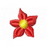 poinsettia poinsettia
