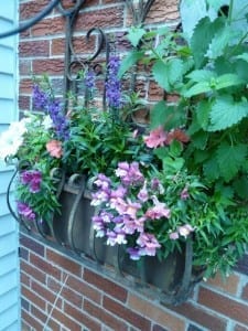 P1010803 P1010803