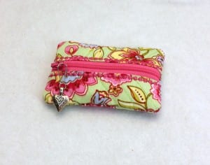 Mini Zip Case
